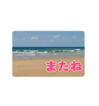 夏のネコたちにゃんだふる～♪（個別スタンプ：24）