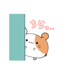 ねこ3の"弱肉•狂•食"スタンプ！！（個別スタンプ：11）