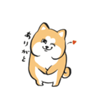 ぶちゃかわ秋田犬①（個別スタンプ：2）