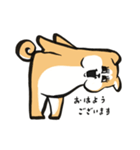 ぶちゃかわ秋田犬①（個別スタンプ：14）