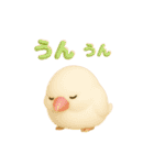かわいいペット大集合！ずっと使える3D動物（個別スタンプ：15）