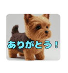 オコジョヨークシャーテリアセットスタンプ（個別スタンプ：30）