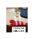 わが家のニャンTube☆5（個別スタンプ：11）