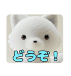 きつねスタイルスタンプセット（個別スタンプ：12）