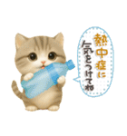 ちびニャンず♡夏の日常-毎日使える-（個別スタンプ：5）