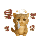 ちびニャンず♡夏の日常-毎日使える-（個別スタンプ：12）