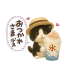 ちびニャンず♡夏の日常-毎日使える-（個別スタンプ：19）