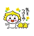 福井弁 幸運の運子（個別スタンプ：33）