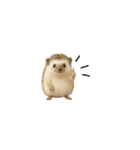 ちっちゃいハリネズミのスタンプだよ（個別スタンプ：3）