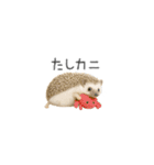 ちっちゃいハリネズミのスタンプだよ（個別スタンプ：22）