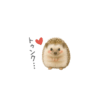 ちっちゃいハリネズミのスタンプだよ（個別スタンプ：25）