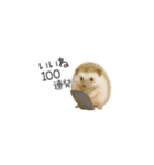 ちっちゃいハリネズミのスタンプだよ（個別スタンプ：26）