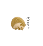 ちっちゃいハリネズミのスタンプだよ（個別スタンプ：29）