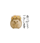 ちっちゃいハリネズミのスタンプだよ（個別スタンプ：31）