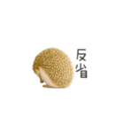 ちっちゃいハリネズミのスタンプだよ（個別スタンプ：35）