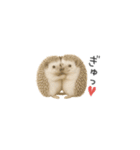 ちっちゃいハリネズミのスタンプだよ（個別スタンプ：39）
