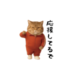 ネッコさんのおスタンプ4（個別スタンプ：11）