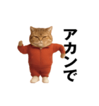 ネッコさんのおスタンプ4（個別スタンプ：13）