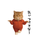 ネッコさんのおスタンプ4（個別スタンプ：14）