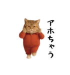 ネッコさんのおスタンプ4（個別スタンプ：20）