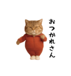 ネッコさんのおスタンプ4（個別スタンプ：21）