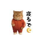ネッコさんのおスタンプ4（個別スタンプ：23）