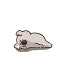 コアラっていいな（個別スタンプ：33）