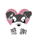 彩りシュナウザー(松原のラン（個別スタンプ：14）
