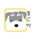 彩りシュナウザー(松原のラン（個別スタンプ：23）