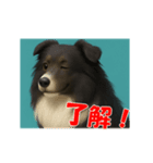 可愛いシェルティーの普段遣いの一言（個別スタンプ：1）