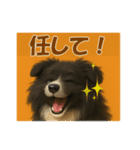 可愛いシェルティーの普段遣いの一言（個別スタンプ：10）