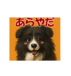 可愛いシェルティーの普段遣いの一言（個別スタンプ：12）