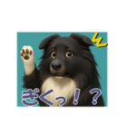 可愛いシェルティーの普段遣いの一言（個別スタンプ：13）