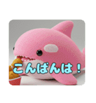 パピヨンシャチセットスタンプ（個別スタンプ：25）