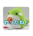 パピヨンシャチセットスタンプ（個別スタンプ：29）