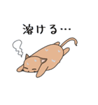 夏のふみつのじっさん（個別スタンプ：1）