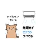 夏のふみつのじっさん（個別スタンプ：19）