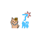 夏のふみつのじっさん（個別スタンプ：21）