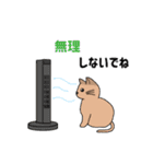 夏のふみつのじっさん（個別スタンプ：27）