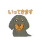 ミニチュアダックスのくぽら（個別スタンプ：14）