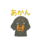 ミニチュアダックスのくぽら（個別スタンプ：16）