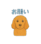 ミニチュアダックスのくぽら（個別スタンプ：19）