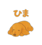 ミニチュアダックスのくぽら（個別スタンプ：20）