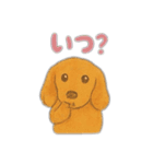 ミニチュアダックスのくぽら（個別スタンプ：25）