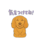 ミニチュアダックスのくぽら（個別スタンプ：29）