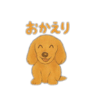ミニチュアダックスのくぽら（個別スタンプ：30）