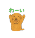 ミニチュアダックスのくぽら（個別スタンプ：31）