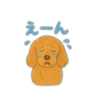 ミニチュアダックスのくぽら（個別スタンプ：37）