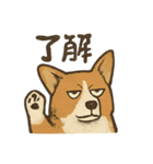 渋犬コーギー ポン（個別スタンプ：2）