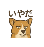 渋犬コーギー ポン（個別スタンプ：6）